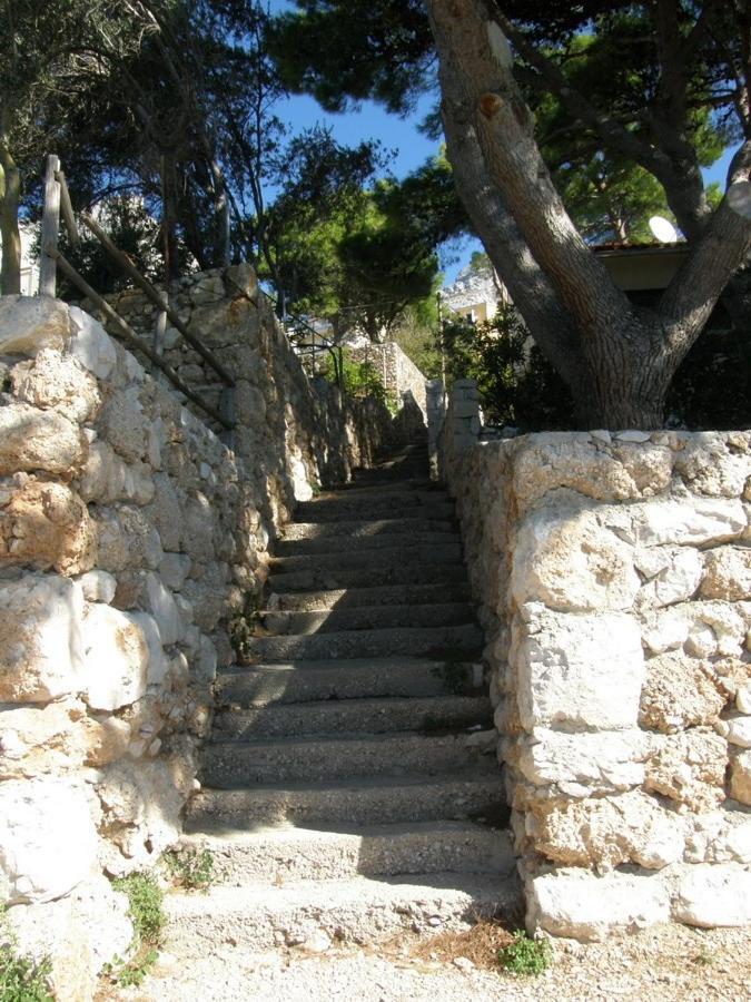 Apartments Boris Omiš Εξωτερικό φωτογραφία